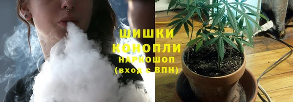 первитин Богданович