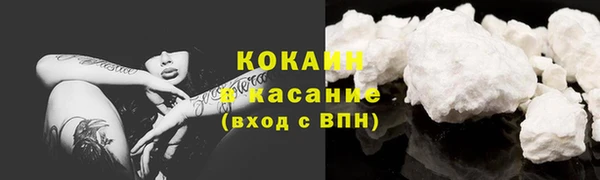первитин Богданович